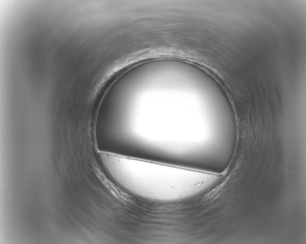 X0000066501499200603170936