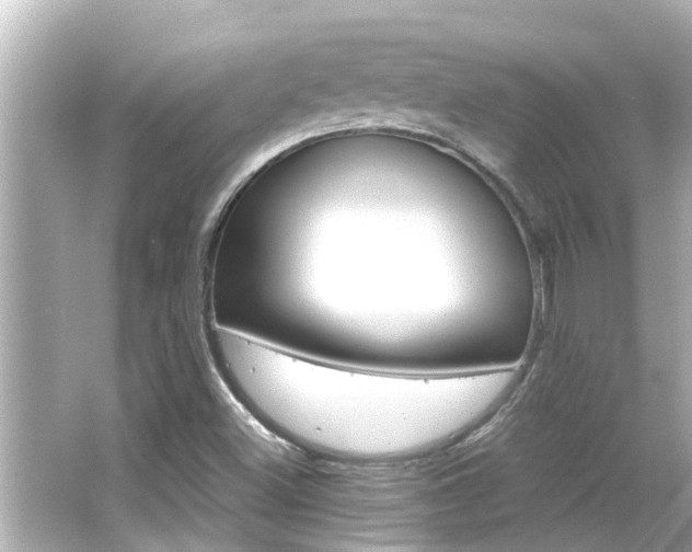 X0000066501500200603170936