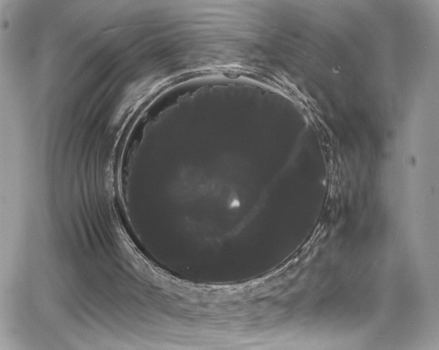 X0000066500002200603171200