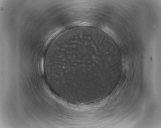 X0000066500014200603171200