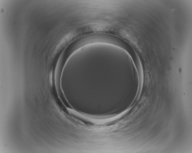 X0000066500019200603171200