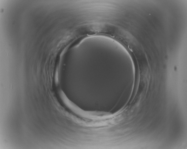 X0000066500031200603171200