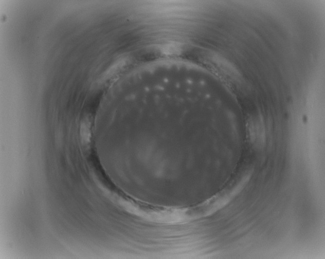 X0000066500032200603171200