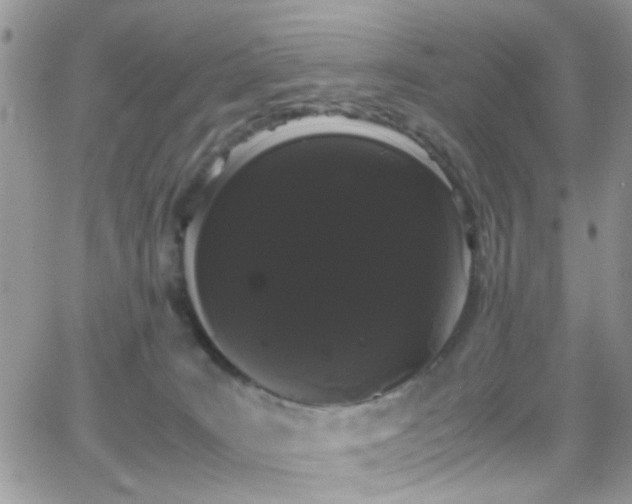 X0000066500035200603171200