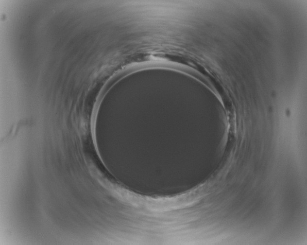 X0000066500039200603171200