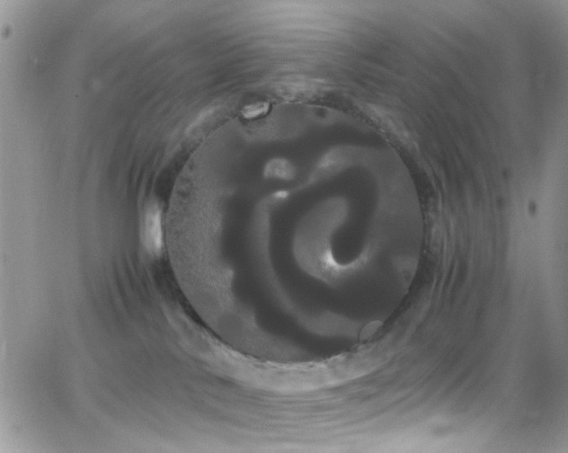 X0000066500042200603171159