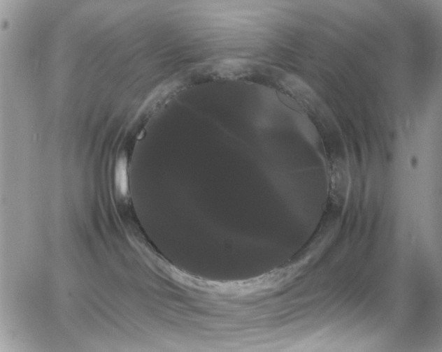 X0000066500046200603171159