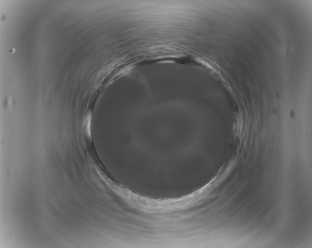 X0000066500047200603171159