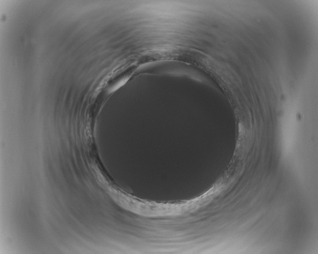 X0000066500048200603171159