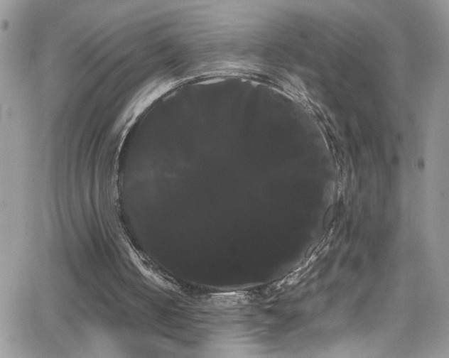 X0000066500050200603171158