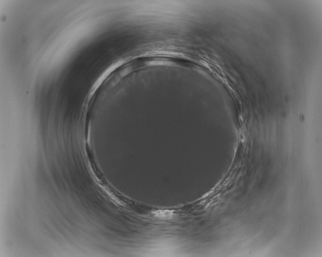 X0000066500052200603171158