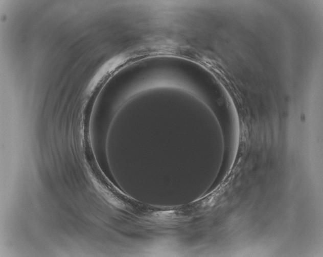X0000066500054200603171158