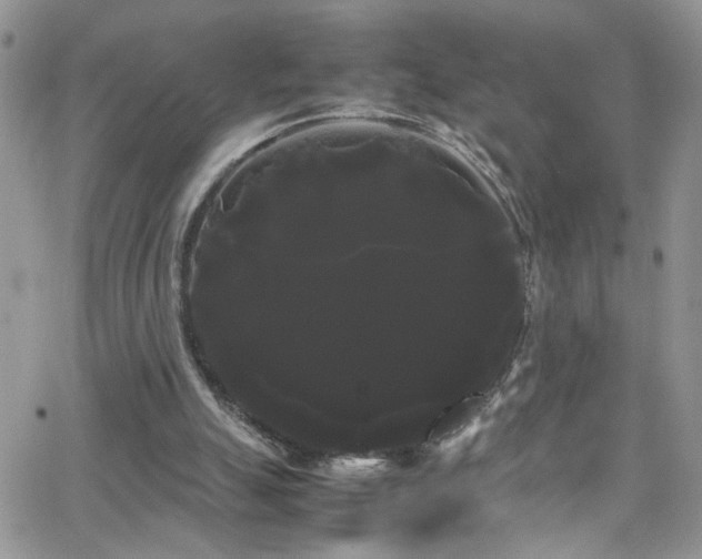 X0000066500055200603171158