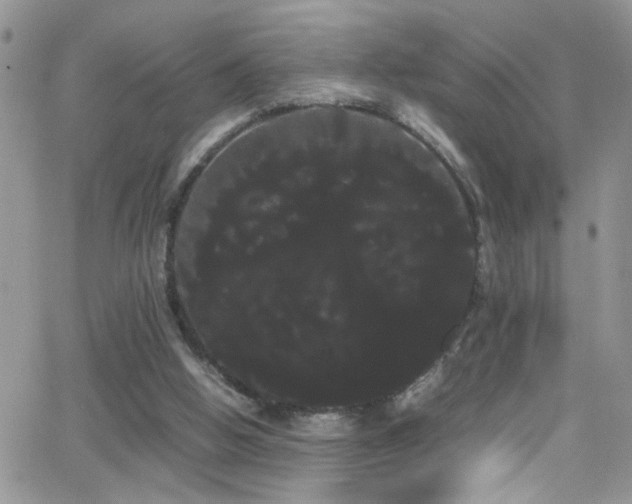 X0000066500058200603171158