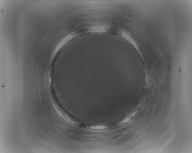 X0000066500059200603171158