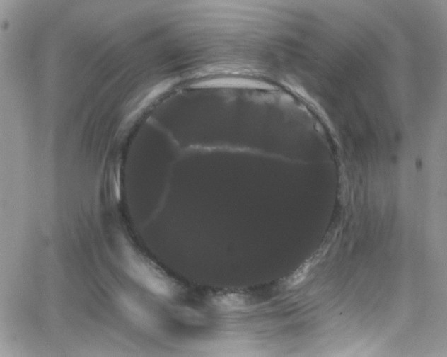 X0000066500062200603171158