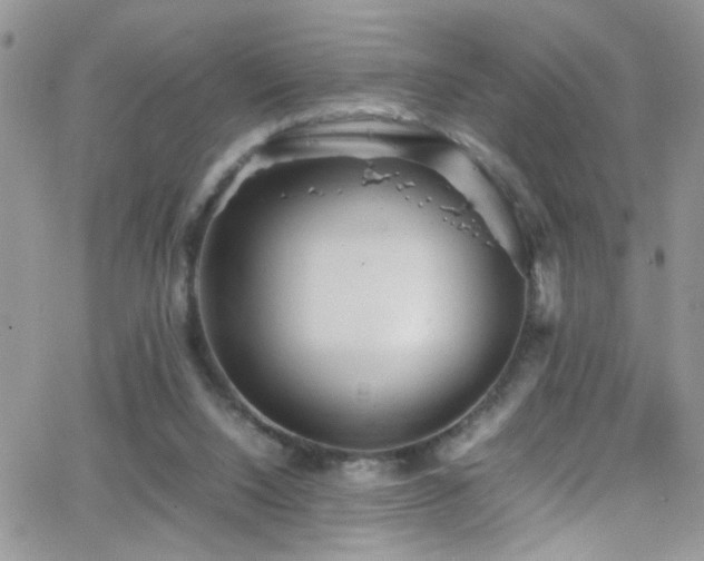X0000066500064200603171158