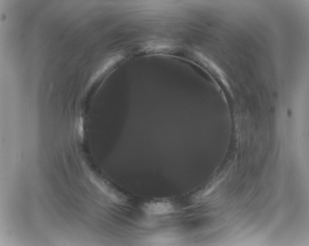 X0000066500067200603171159