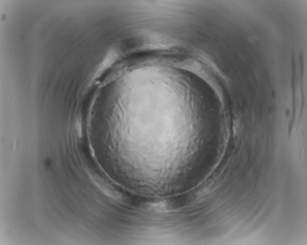 X0000066500068200603171159
