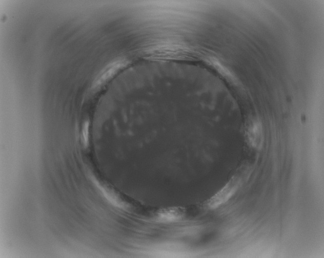 X0000066500070200603171159