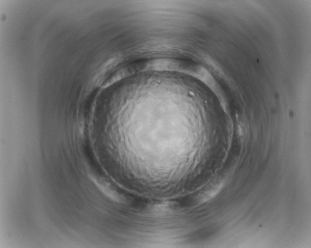 X0000066500072200603171159