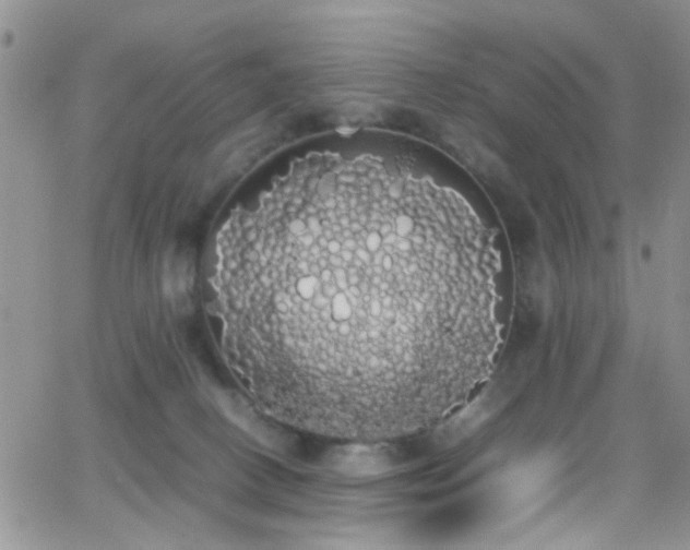 X0000066500082200603171159