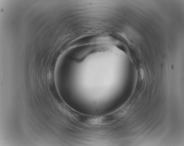 X0000066500084200603171159