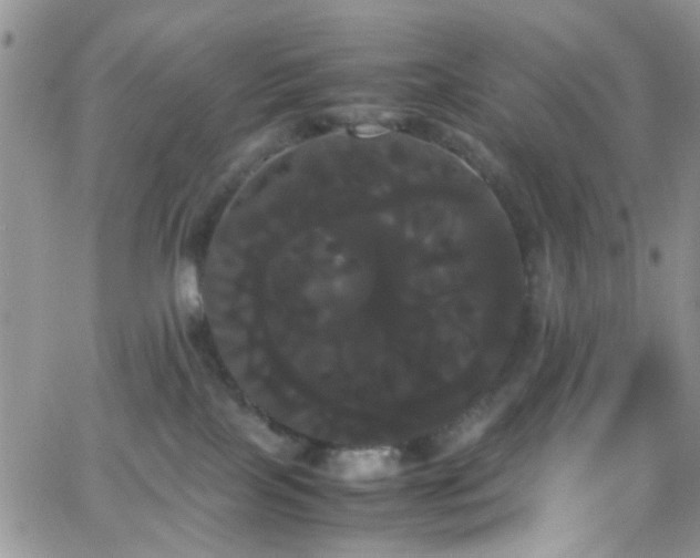 X0000066500089200603171159