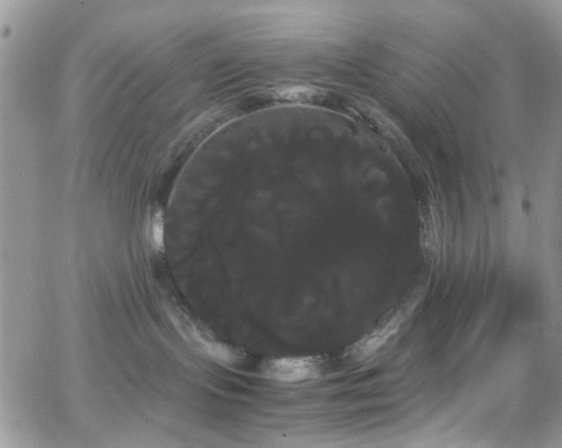 X0000066500095200603171159