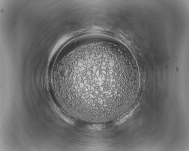 X0000066500102200603171158
