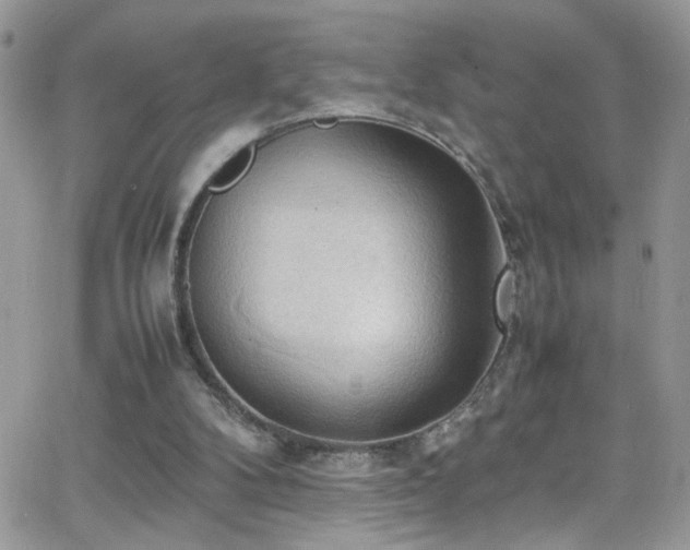 X0000066500104200603171158
