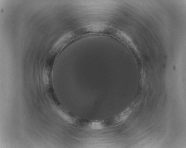 X0000066500114200603171158