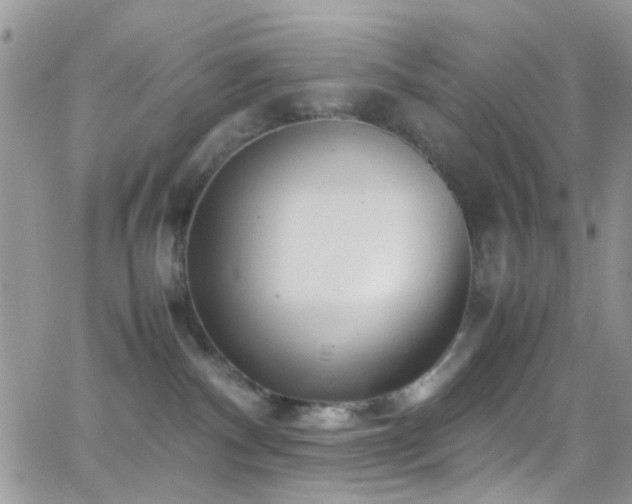 X0000066500140200603171158