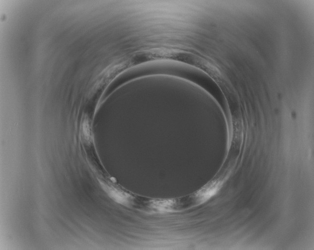 X0000066500143200603171157
