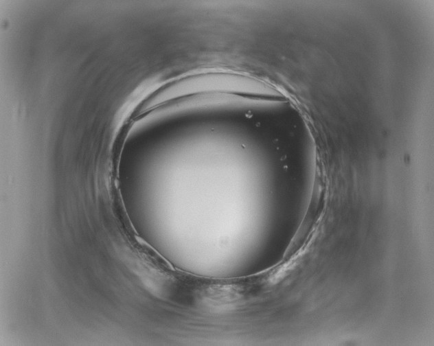 X0000066500152200603171157