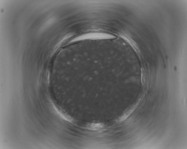 X0000066500157200603171157
