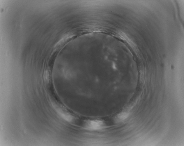 X0000066500165200603171157