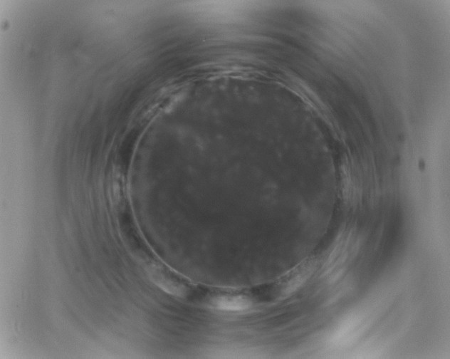 X0000066500169200603171157