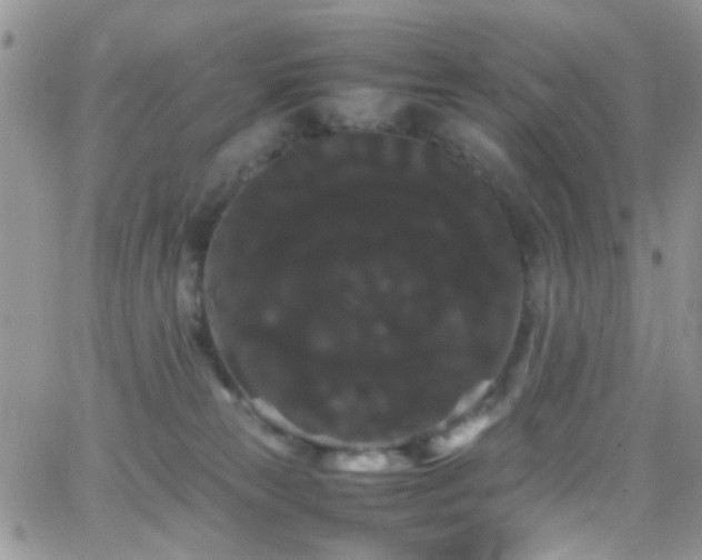X0000066500181200603171157