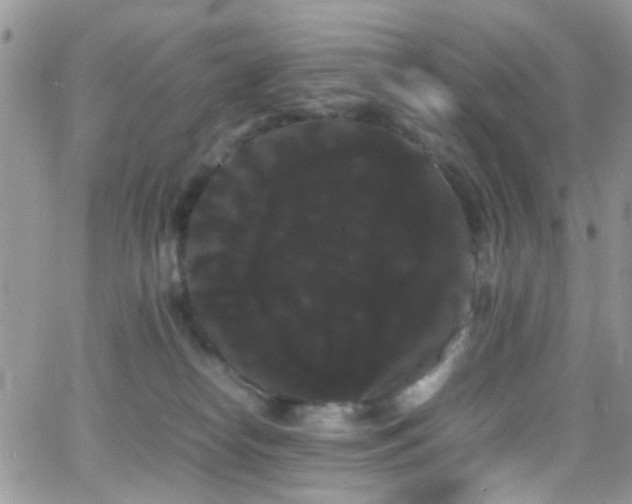 X0000066500182200603171157