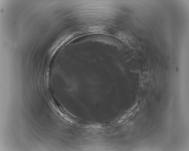 X0000066500194200603171157