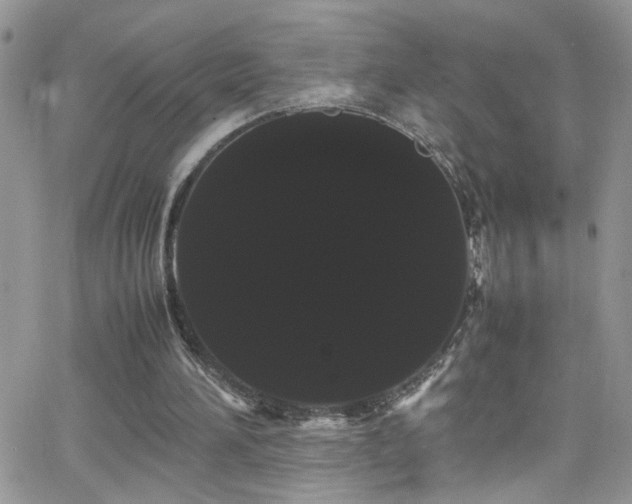 X0000066500196200603171157