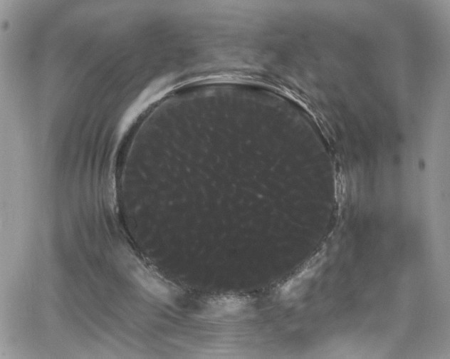 X0000066500198200603171157