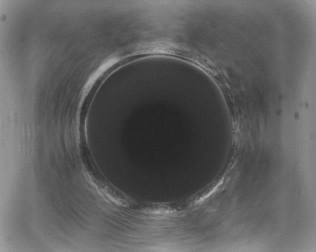 X0000066500200200603171157