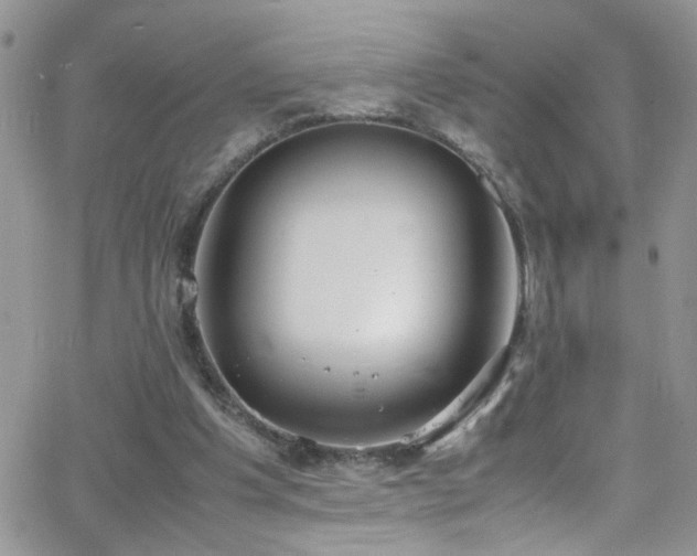 X0000066500201200603171157