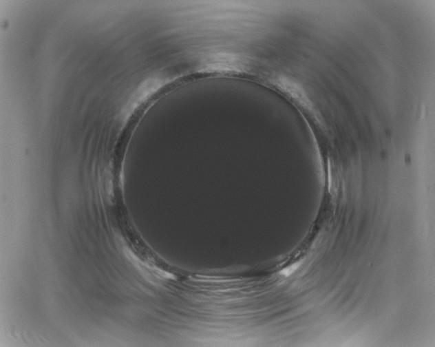 X0000066500204200603171156