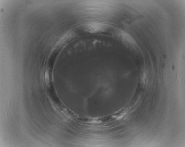 X0000066500214200603171156