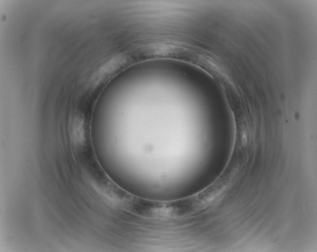 X0000066500216200603171156