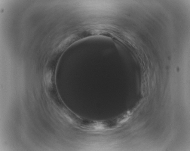 X0000066500219200603171156
