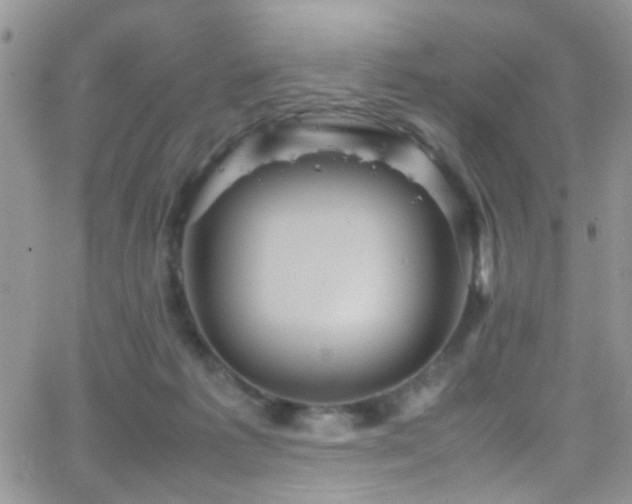 X0000066500221200603171156